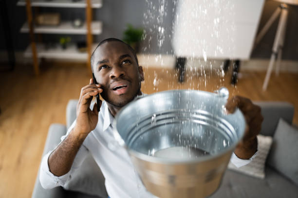 Best Local water damage restoration  in Desert View Highlands, CA