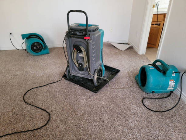 Best Mold removal after water damage  in Desert View Highlands, CA