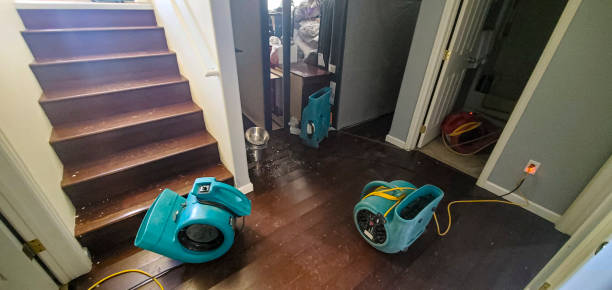 Best Flooded house restoration  in Desert View Highlands, CA