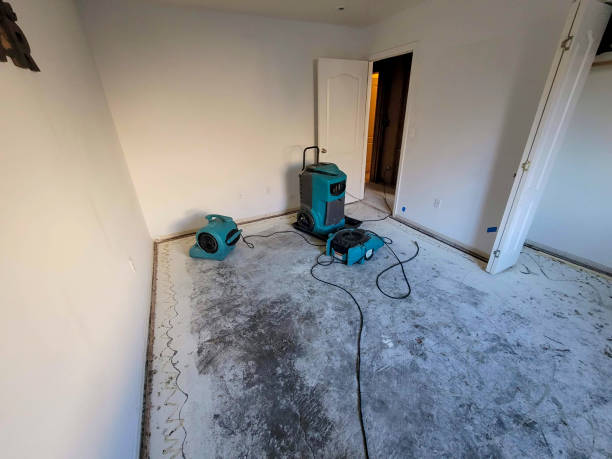 Trusted Desert View Highlands, CA Water damage restoration Experts