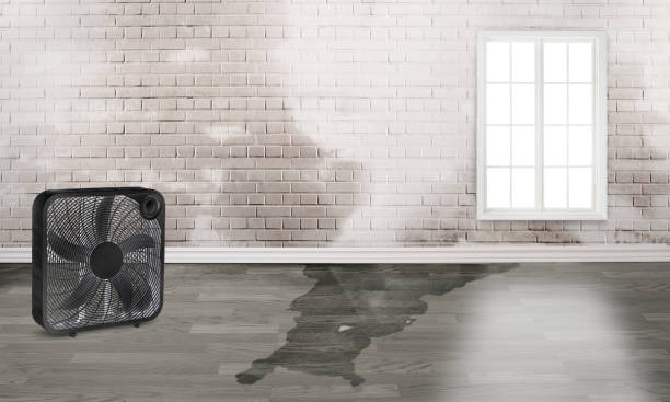 Best 24-hour water damage restoration  in Desert View Highlands, CA