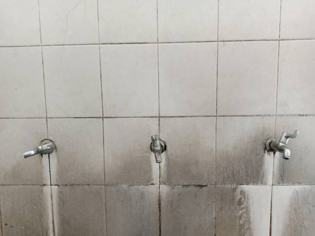 Best Professional water damage repair  in Desert View Highlands, CA
