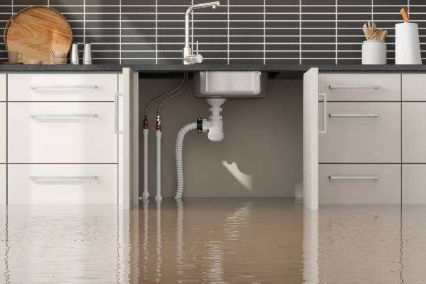 Best Water damage contractors near me  in Desert View Highlands, CA