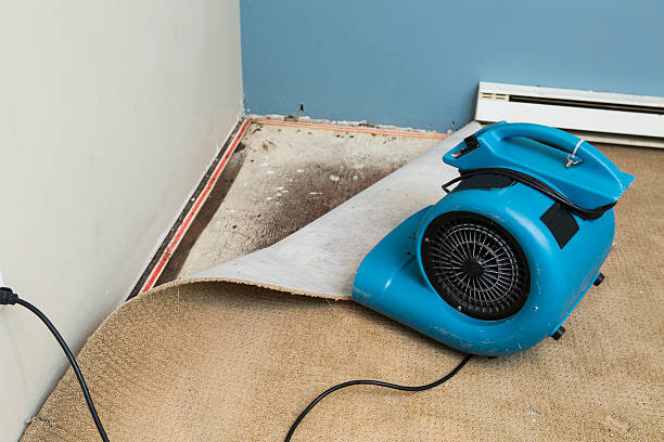 Best Water damage cleanup near me  in Desert View Highlands, CA